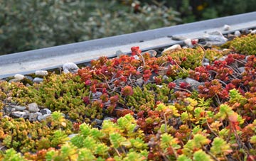 the cost of Lydd green roof installation