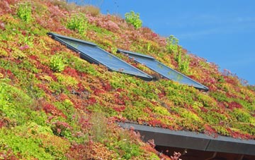 Lydd living roof systems