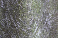 Lydd fibreglass roof work