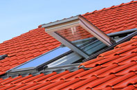 Lydd roof window